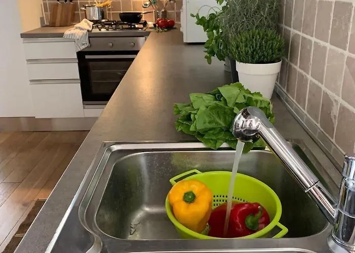 The 4 Senses Experience